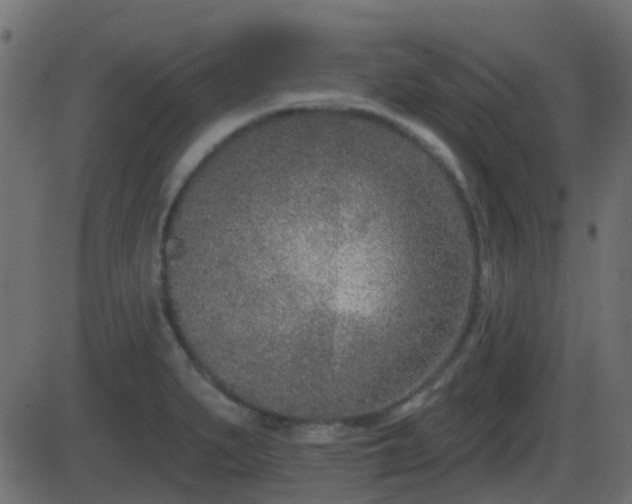 X0000086271279200704051300