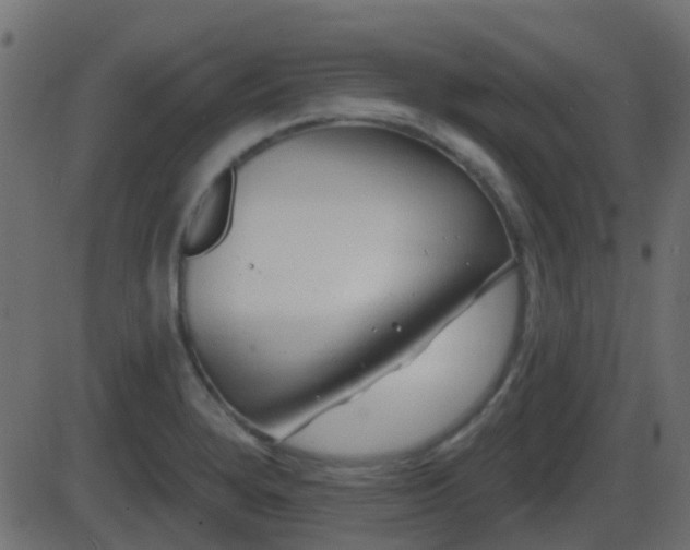 X0000086271280200704051300