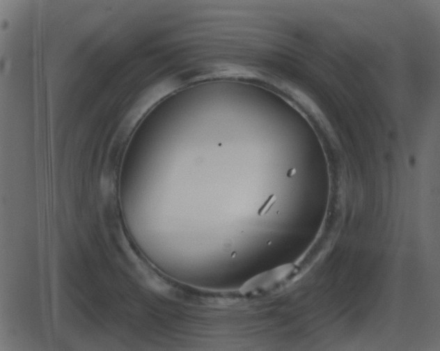 X0000086271281200704051300