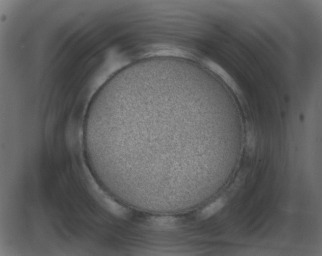 X0000086271282200704051300