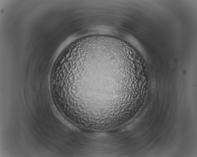 X0000086271283200704051300