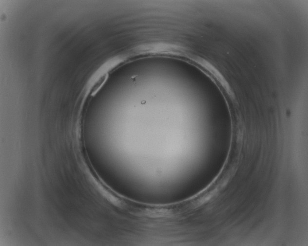 X0000086271285200704051300