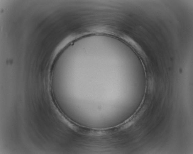 X0000086271286200704051300