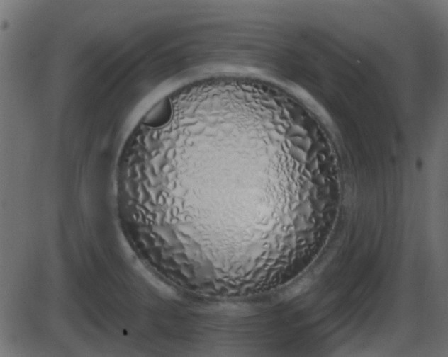 X0000086271287200704051300