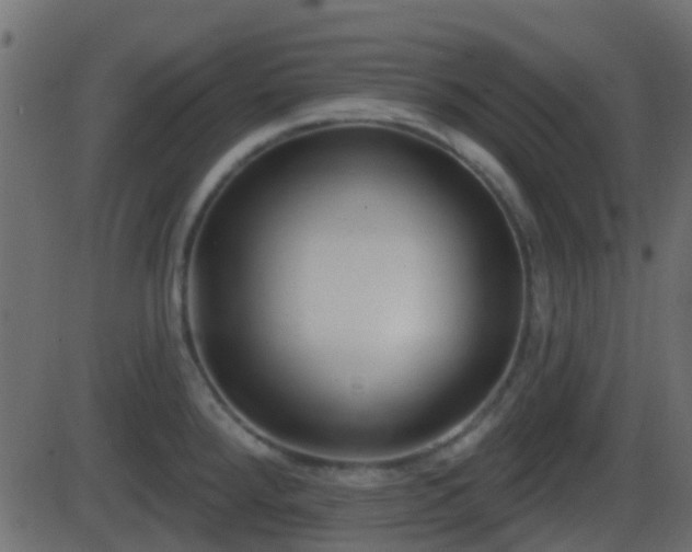 X0000086271288200704051300