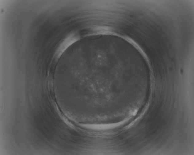 X0000086271289200704051300