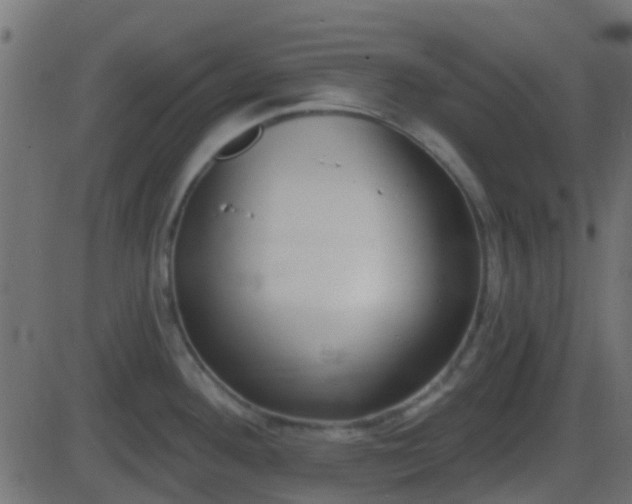 X0000086271292200704051300