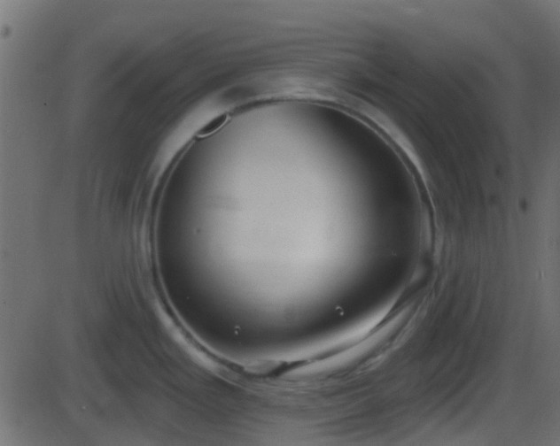 X0000086271293200704051300