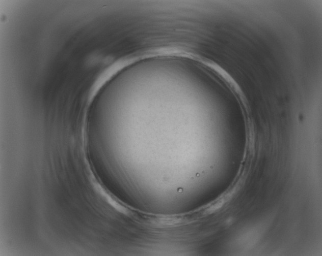 X0000086271294200704051300