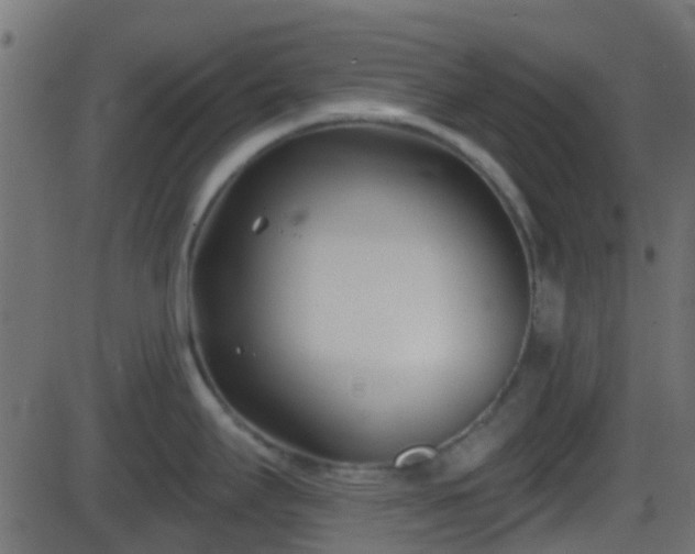 X0000086271295200704051300