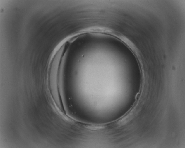 X0000086271296200704051300