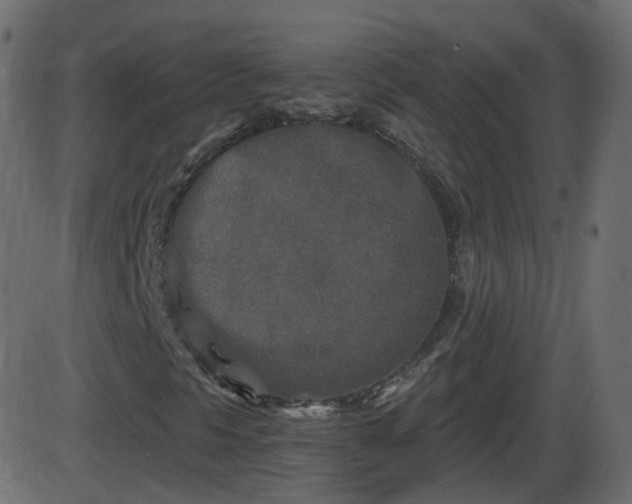 X0000086271297200704051259