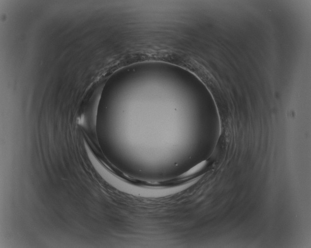 X0000086271298200704051259