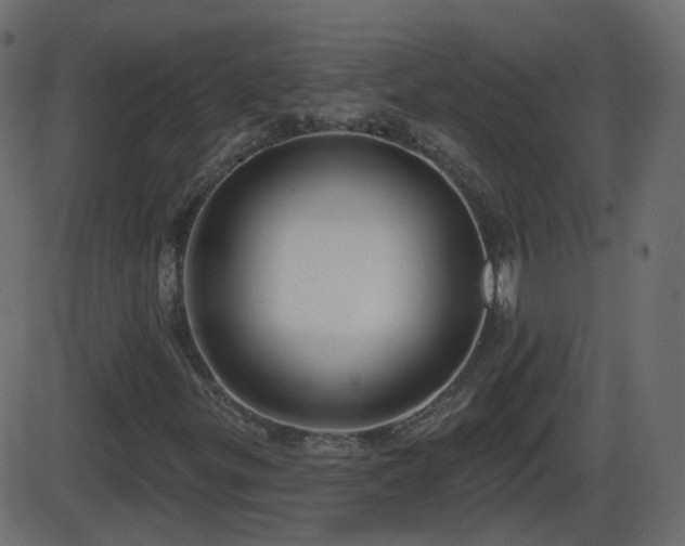 X0000086271299200704051259