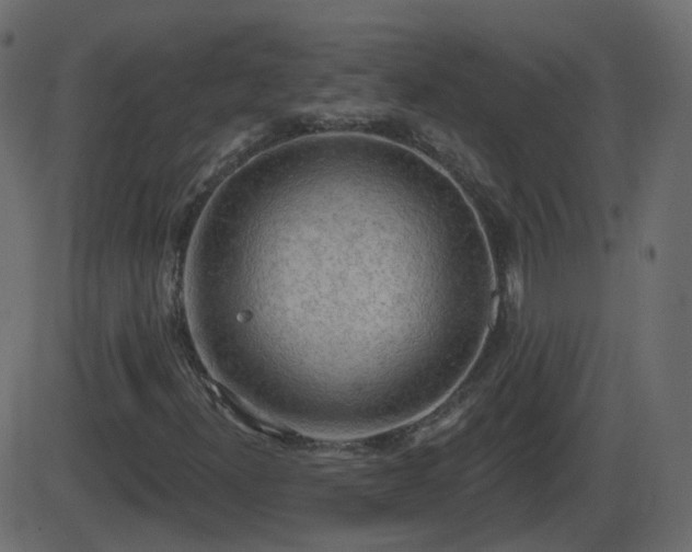 X0000086271300200704051259