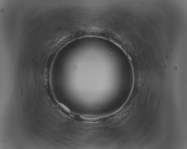 X0000086271301200704051259