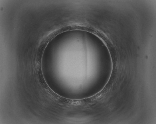 X0000086271303200704051259