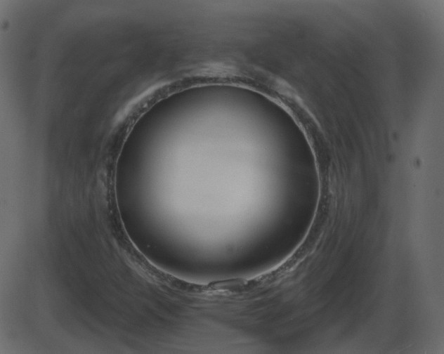 X0000086271304200704051259