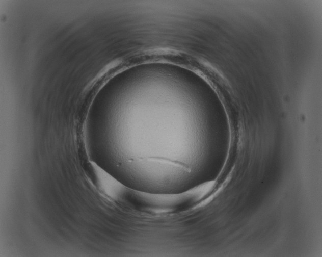 X0000086271305200704051259