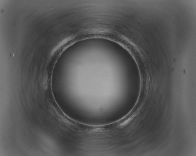 X0000086271306200704051259