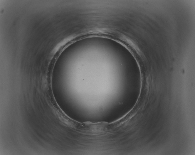 X0000086271308200704051259