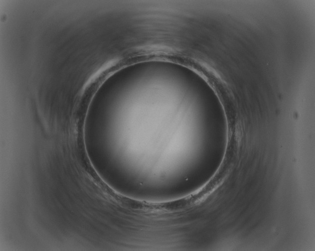 X0000086271309200704051259