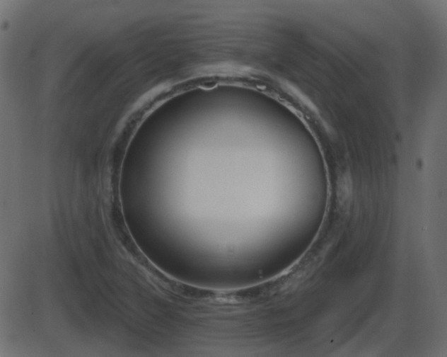 X0000086271315200704051259