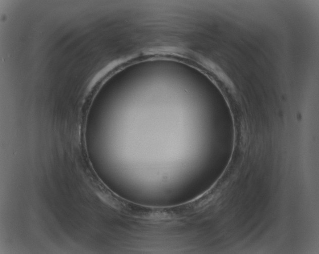 X0000086271316200704051259