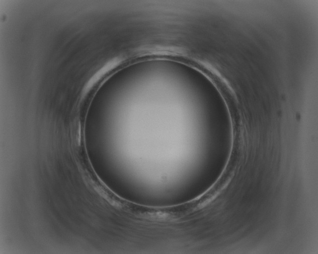 X0000086271317200704051259