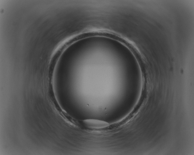 X0000086271319200704051259