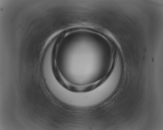 X0000086271320200704051259