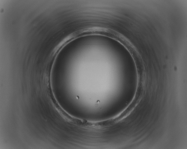 X0000086271321200704051259