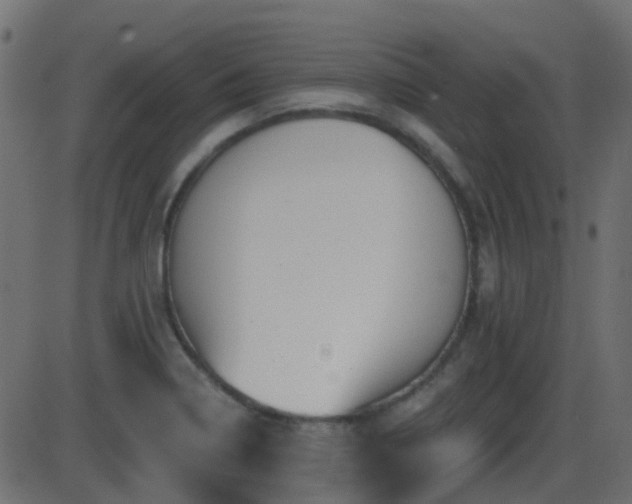 X0000086271322200704051259