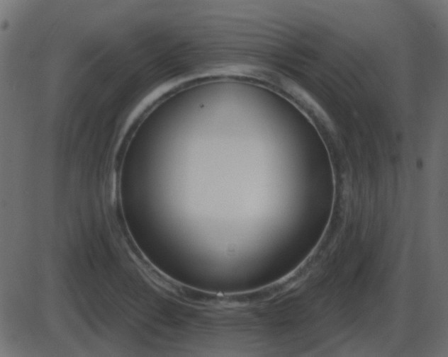 X0000086271324200704051259