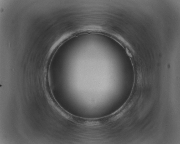 X0000086271325200704051259