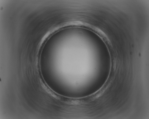 X0000086271326200704051259