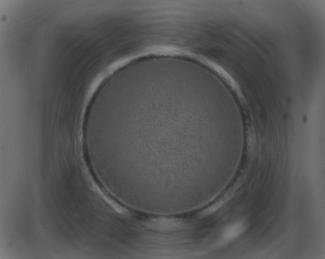 X0000086271327200704051259