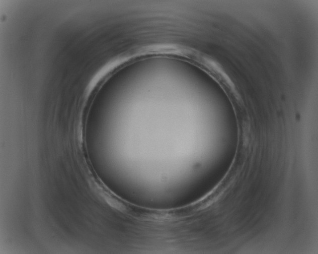 X0000086271328200704051259