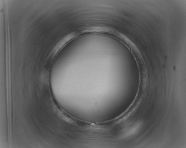 X0000086271329200704051259