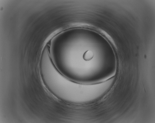 X0000086271330200704051259