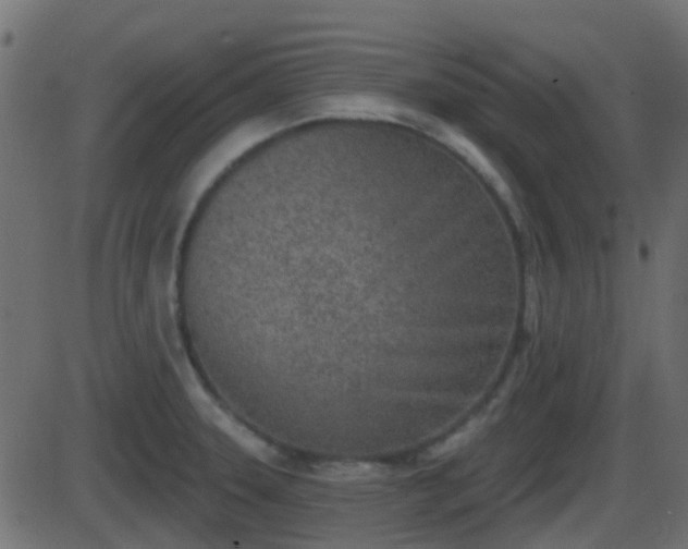 X0000086271331200704051259