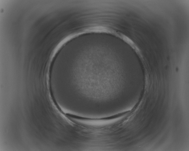 X0000086271334200704051259