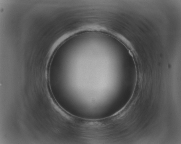 X0000086271335200704051259