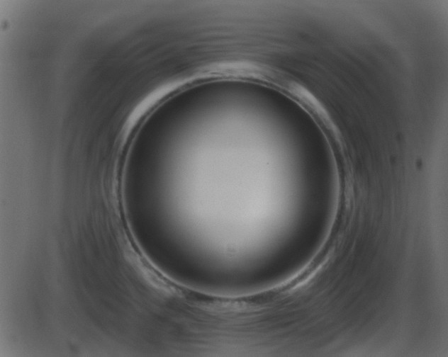 X0000086271336200704051259