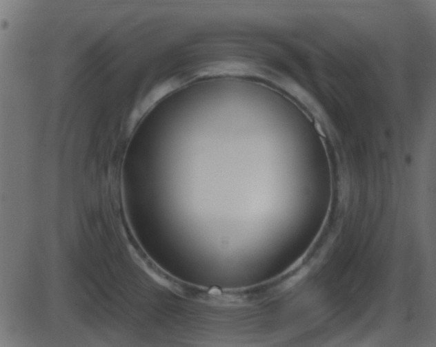 X0000086271337200704051259