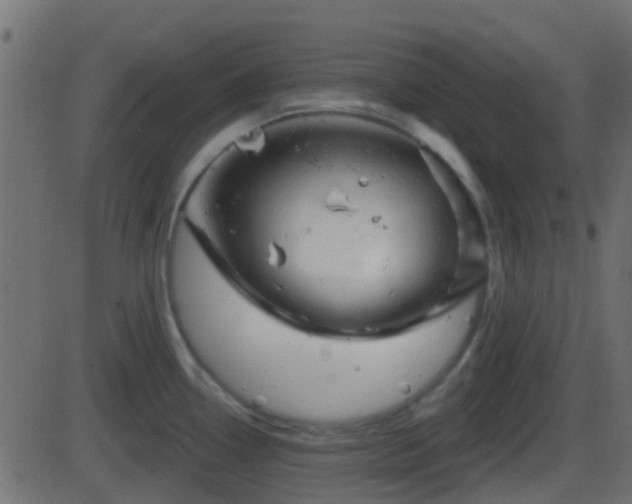 X0000086271338200704051259