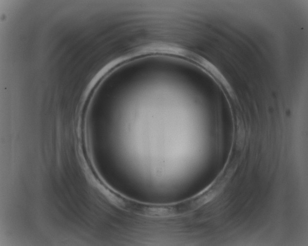 X0000086271339200704051259