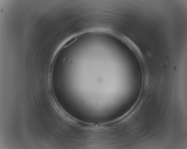 X0000086271340200704051259