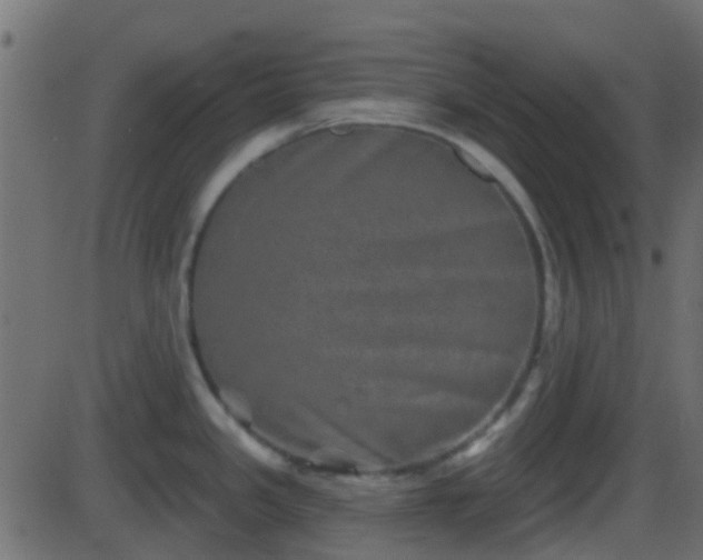 X0000086271341200704051259