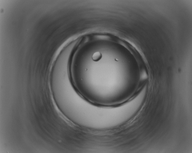 X0000086271342200704051259